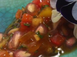 The Mango and Pomegranate salsa